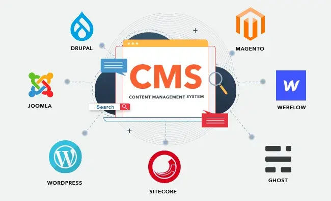 CMS Development
