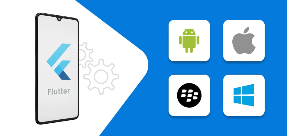 Flutter Client Needs